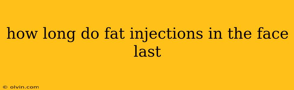 how long do fat injections in the face last