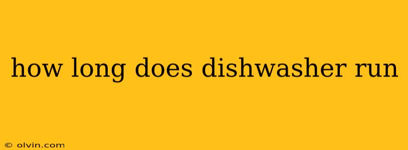 how long does dishwasher run