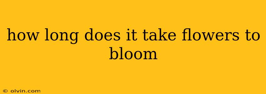 how long does it take flowers to bloom