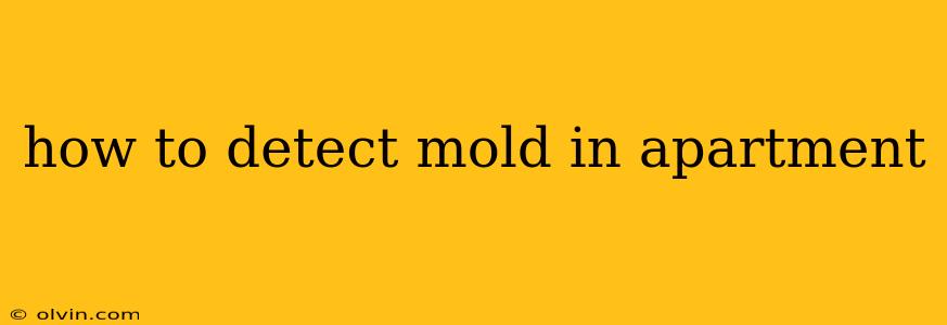 how to detect mold in apartment