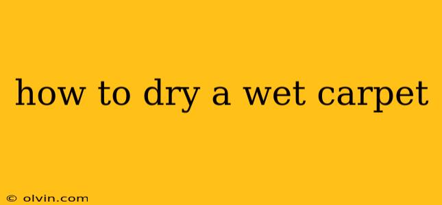 how to dry a wet carpet