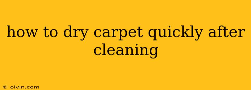 how to dry carpet quickly after cleaning