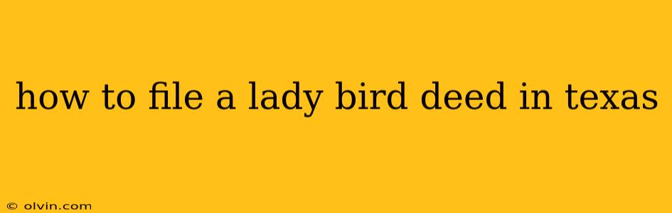 how to file a lady bird deed in texas