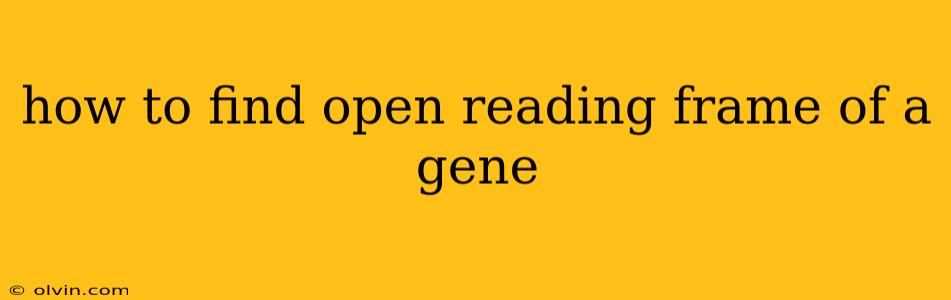 how to find open reading frame of a gene