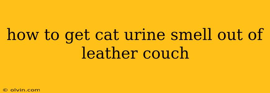 how to get cat urine smell out of leather couch