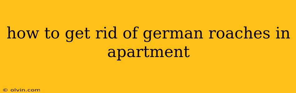 how to get rid of german roaches in apartment