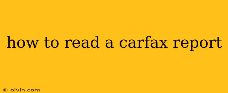 how to read a carfax report