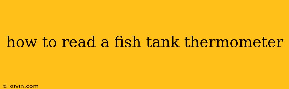 how to read a fish tank thermometer