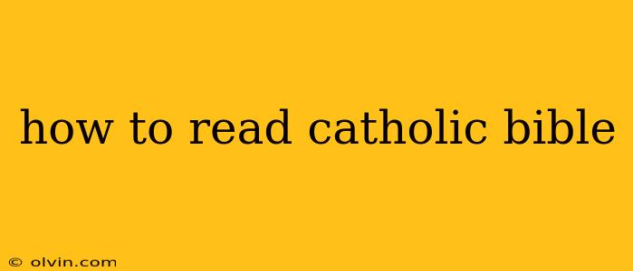 how to read catholic bible