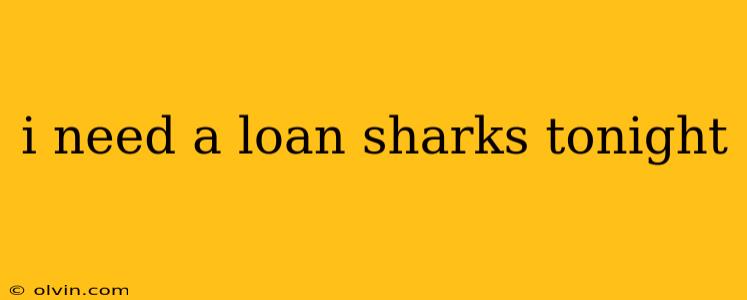 i need a loan sharks tonight