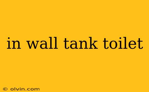 in wall tank toilet