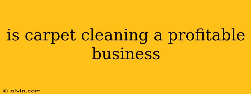 is carpet cleaning a profitable business