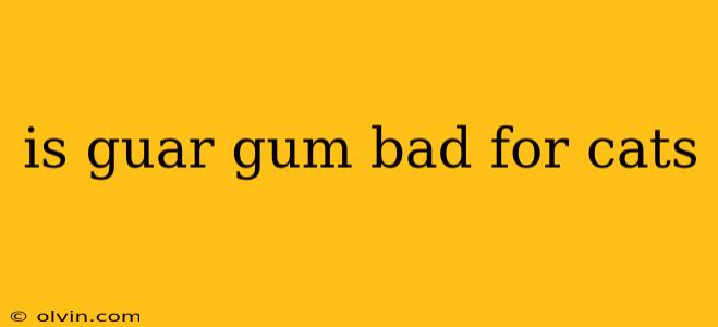 is guar gum bad for cats