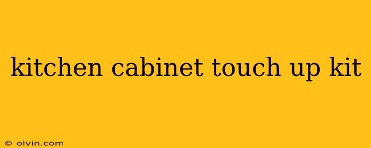 kitchen cabinet touch up kit