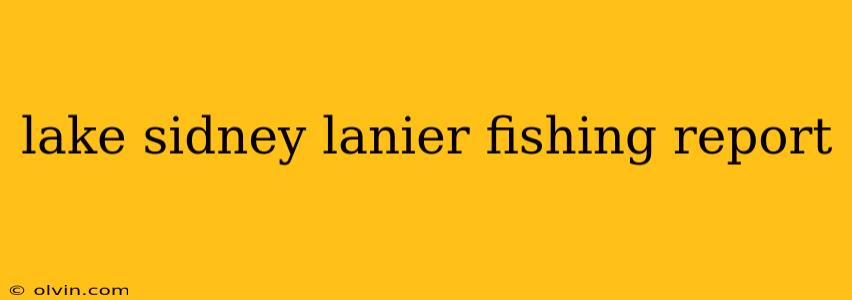 lake sidney lanier fishing report