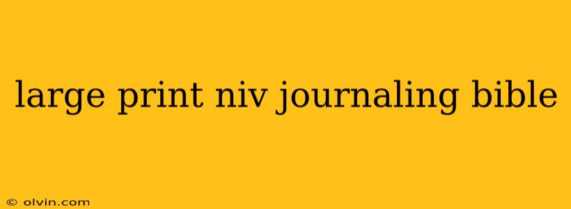 large print niv journaling bible