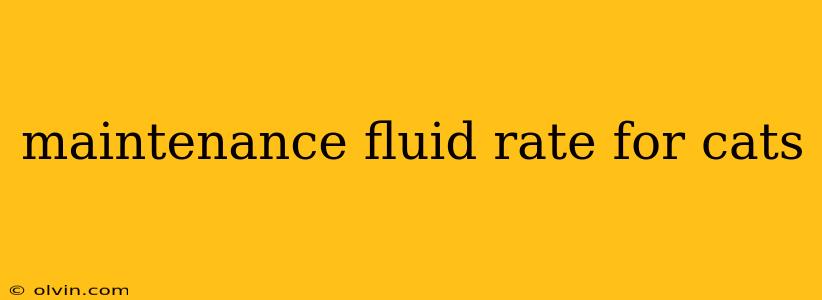 maintenance fluid rate for cats