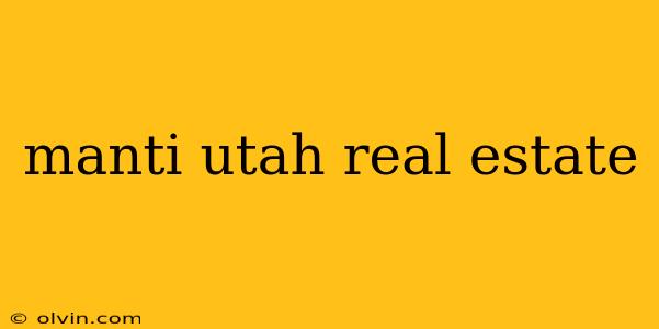 manti utah real estate