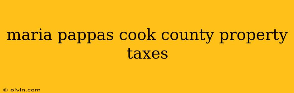 maria pappas cook county property taxes