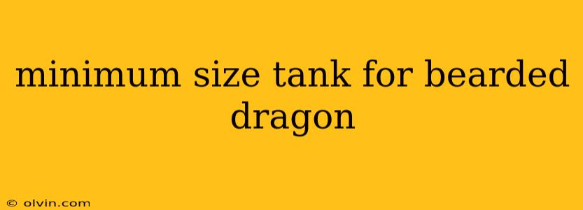 minimum size tank for bearded dragon