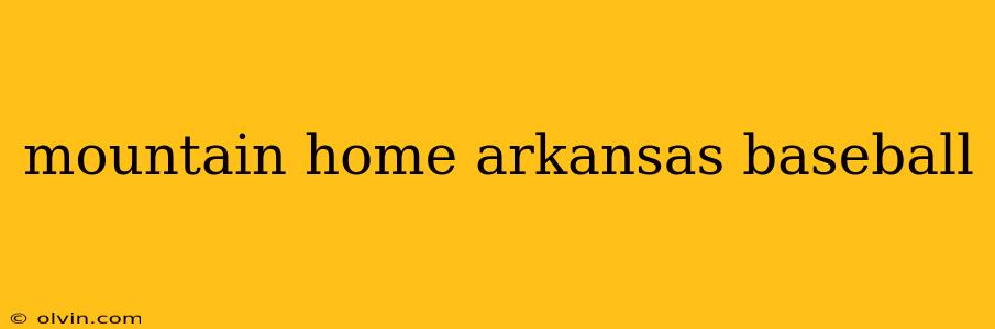 mountain home arkansas baseball