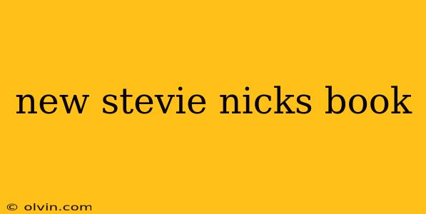 new stevie nicks book