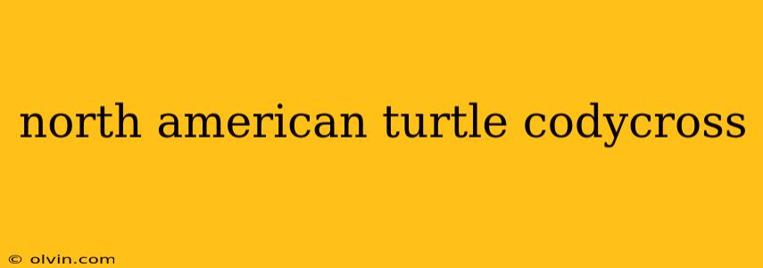 north american turtle codycross