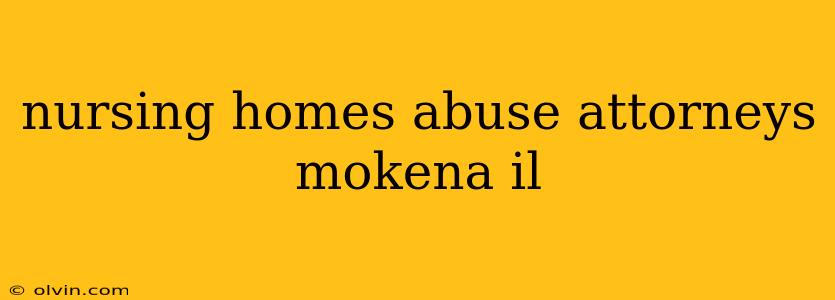 nursing homes abuse attorneys mokena il