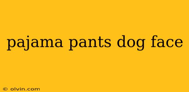 pajama pants dog face