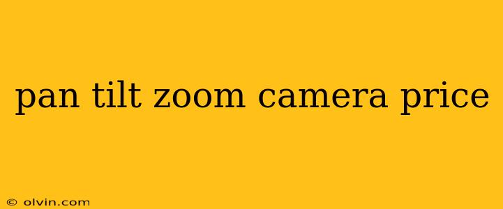 pan tilt zoom camera price