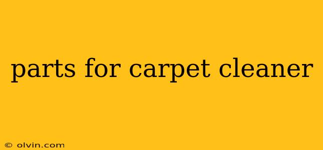 parts for carpet cleaner