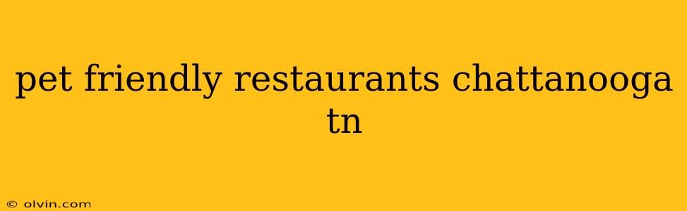 pet friendly restaurants chattanooga tn