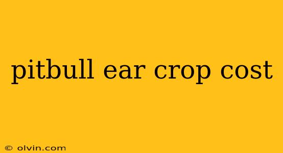 pitbull ear crop cost