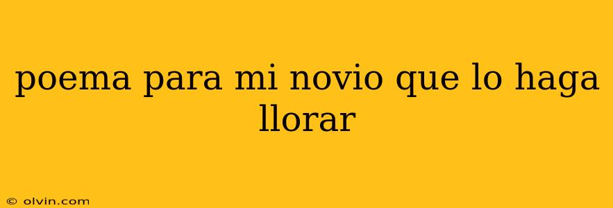 poema para mi novio que lo haga llorar