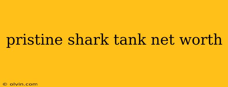 pristine shark tank net worth