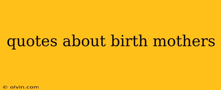 quotes about birth mothers