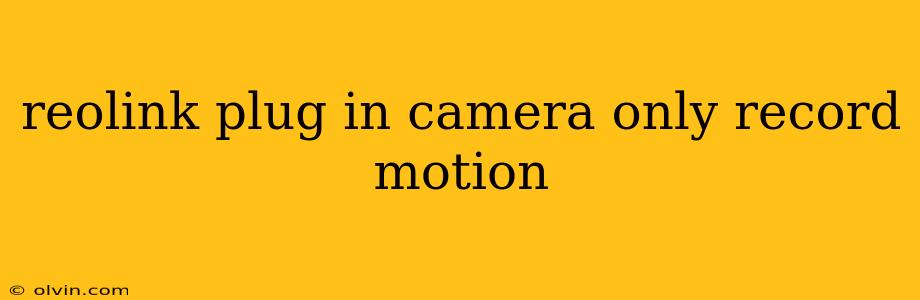 reolink plug in camera only record motion