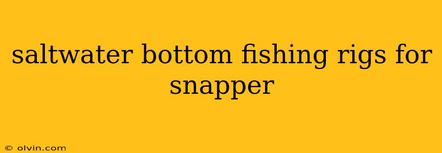 saltwater bottom fishing rigs for snapper