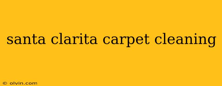 santa clarita carpet cleaning