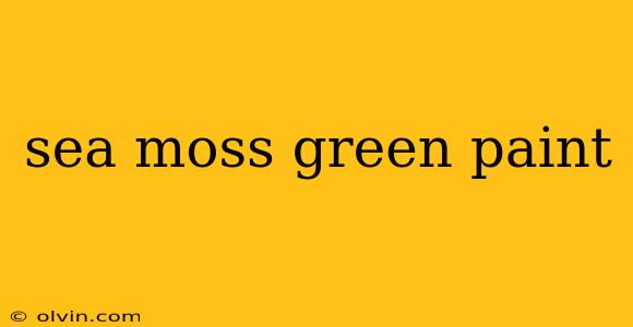 sea moss green paint