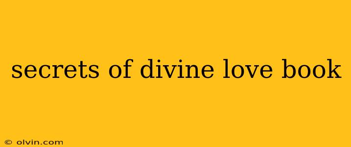 secrets of divine love book