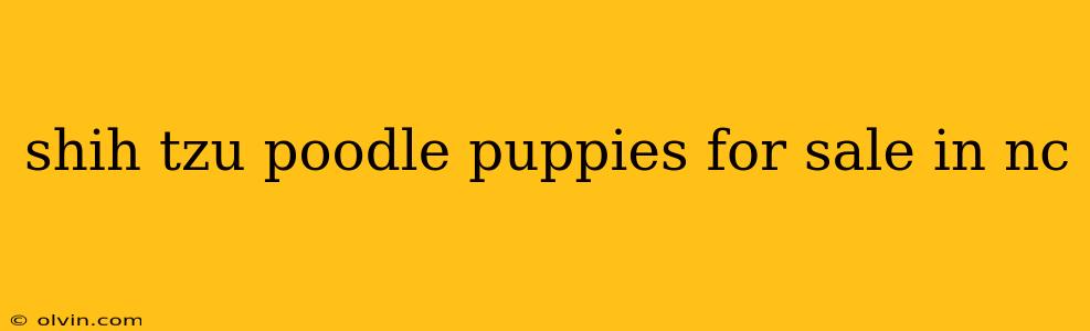 shih tzu poodle puppies for sale in nc