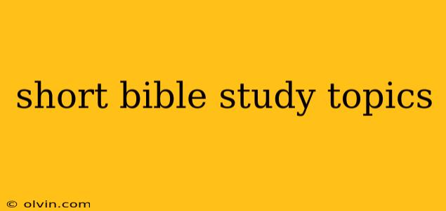 short bible study topics