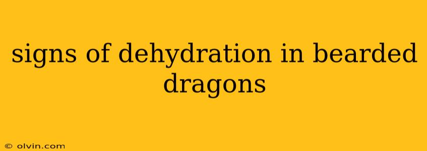 signs of dehydration in bearded dragons