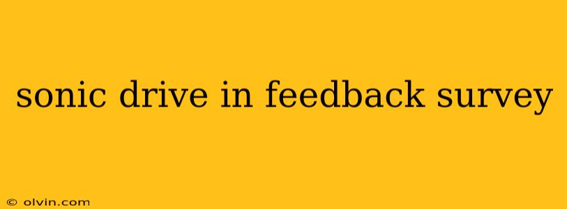 sonic drive in feedback survey