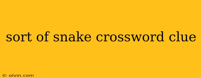 sort of snake crossword clue