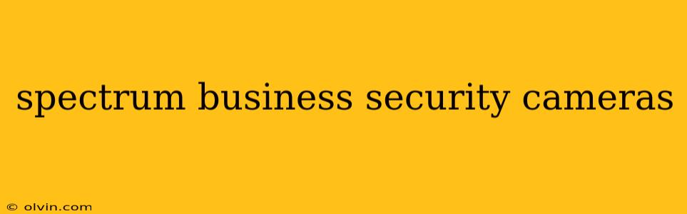 spectrum business security cameras