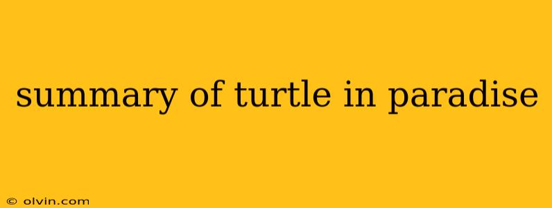 summary of turtle in paradise