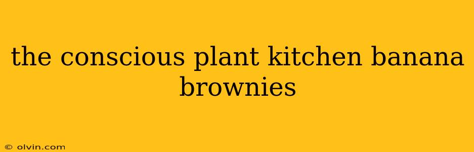 the conscious plant kitchen banana brownies