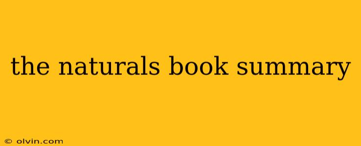 the naturals book summary